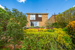 garden- click for photo gallery